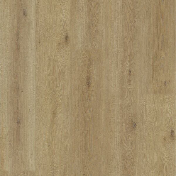 V-podlahy Experto LVT 55 Dub Citi 8196L-005 4,1806 m2