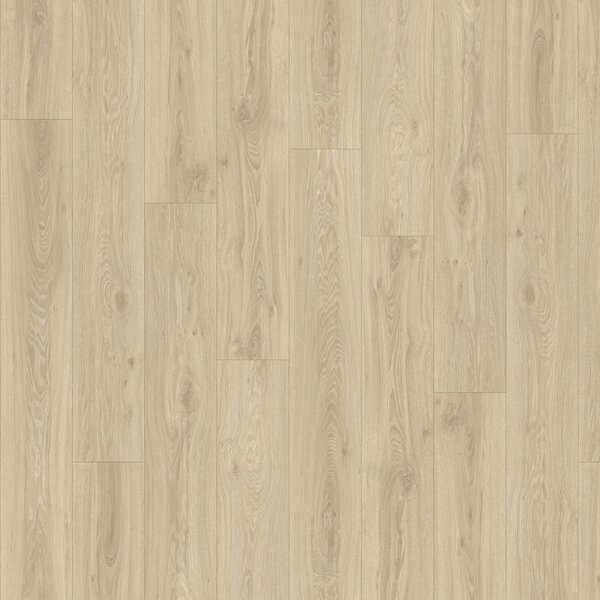IVC Group Moduleo Roots 55 Blackjack Oak 22215 3,622 m2