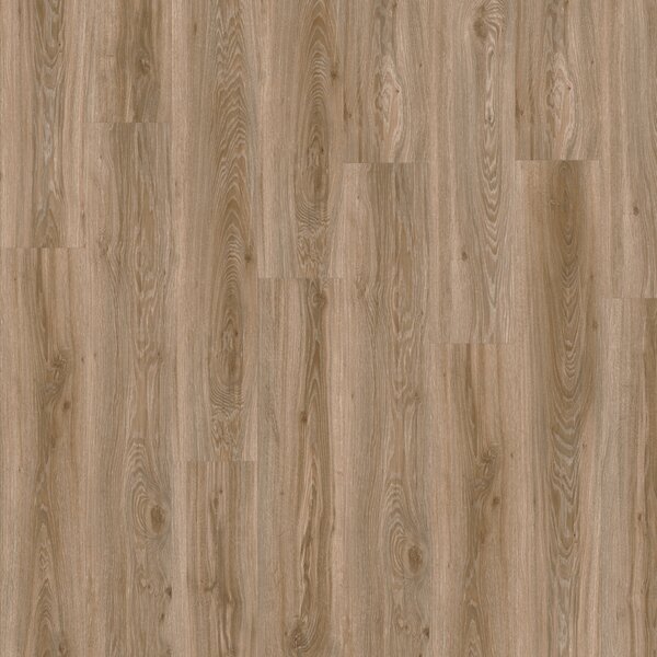 IVC Group Moduleo Roots 55 Blackjack Oak 22229 3,622 m2