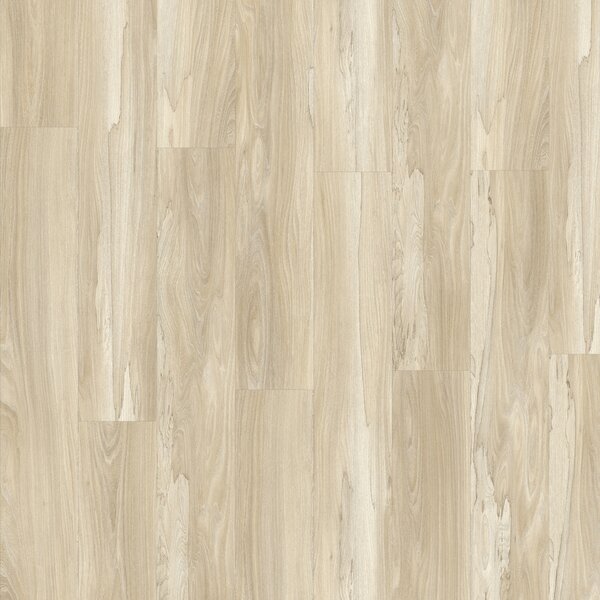 IVC Group Moduleo Roots 55 Marsh Wood 22326 3,622 m2