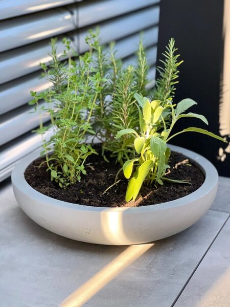 Okrasná miska PLANA, sklolaminát, Ø 54 cm, šedá