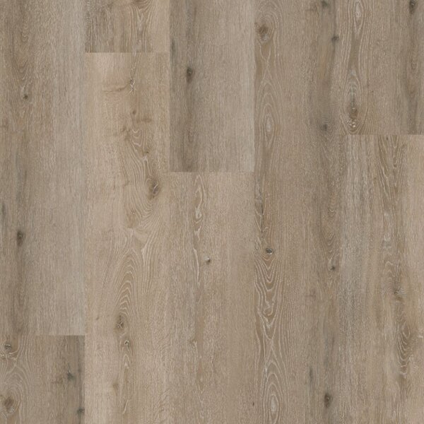 COREtec SurPlus 50RLV3955 Noble Oak 55 2,68 m2