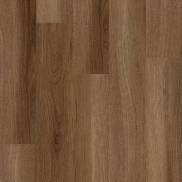COREtec SurPlus 50RLV3585 Royal Walnut 85 2,68 m2