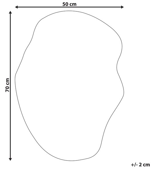 Zrcadlo FALAISE 50 cm 70 cm Stříbrná