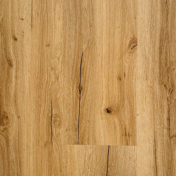 KPP SPC X-CELLENT WOOD - Dub Cumin 80113 2,196 m2