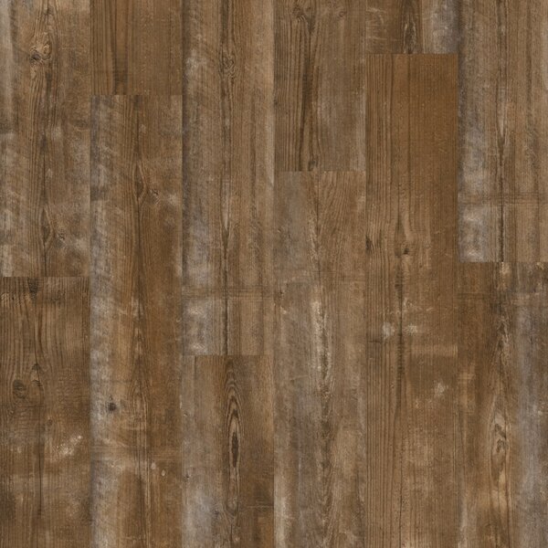 Quick-Step Alpha Vinyl Bloom Borovice západ slunce AVMPU40075 1,873 m2