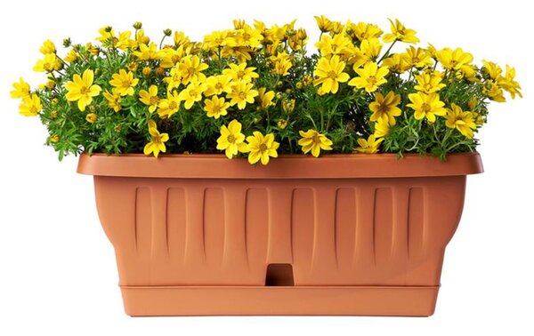 BAMA Truhlík Natura WT, barva terracotta, Rozměry: 40 cm