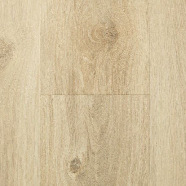 Aspecta Solid PRO 55 Almond 3,48 m2