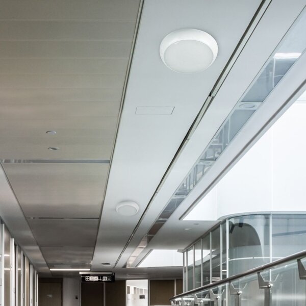 LED Venkovní stropní svítidlo LED/20W/230V IP65 3000/4000/6500K