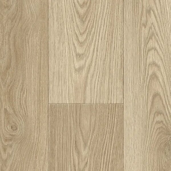IVC Group Whiteline Duke 538 - 2m 1 m²