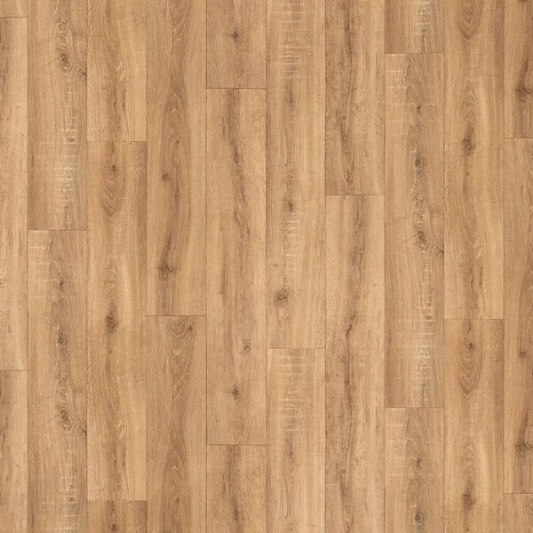 IVC Group Whiteline Sorbonne 534 - 2m 1 m²