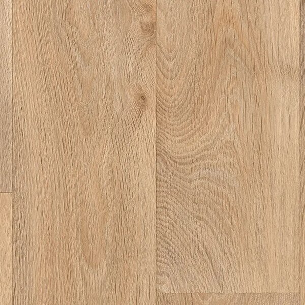 IVC Group Whiteline Toronto 562 - 2m 1 m²