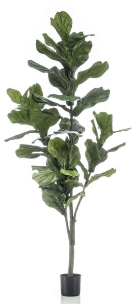 Umělý strom Ficus Lyrata, 150cm