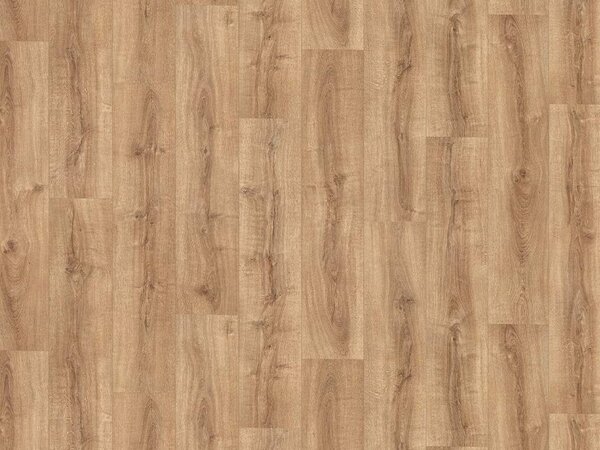 IVC Group Greenline Rioja 532 - 2m 1 m²