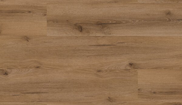 Floor Forever Authentic Oak Click Rigid Dub Vévodský 2040