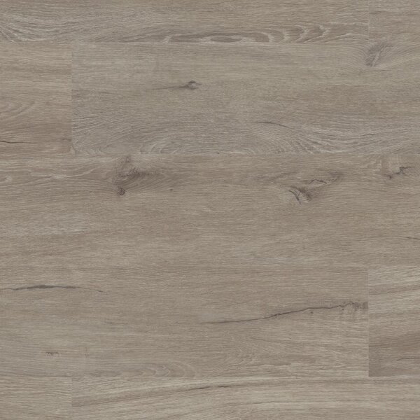 Floor Forever Authentic Oak Click Rigid Dub Šlechtický 5020