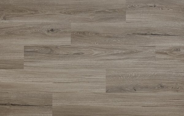 Arbiton Woodric Eir Acoustic Dub Lincoln CWSA 212 2,235 m2