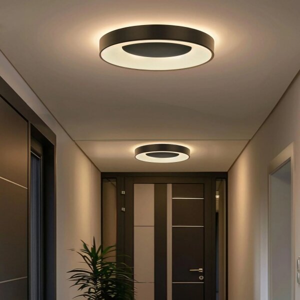 LED Stmívatelné stropní svítidlo WITOLD LED/48W/230V 3000-6000K + DO