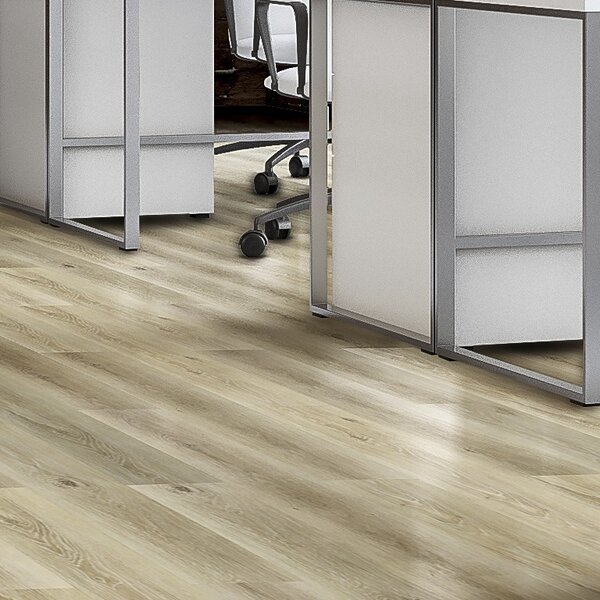 Spoltex WIDE Cool Oak Gold 2,146 m2
