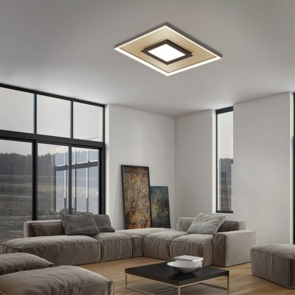 Briloner 3641-017 - LED Stmívatelné svítidlo FRAME LED/30W/230V 2700-6500K + DO