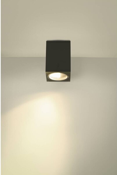 LA 1003421 ENOLA SQUARE M Outdoor, stropní LED svítidlo, antracitové - BIG WHITE (SLV)