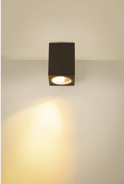 LA 1003421 ENOLA SQUARE M Outdoor, stropní LED svítidlo, antracitové - BIG WHITE (SLV)
