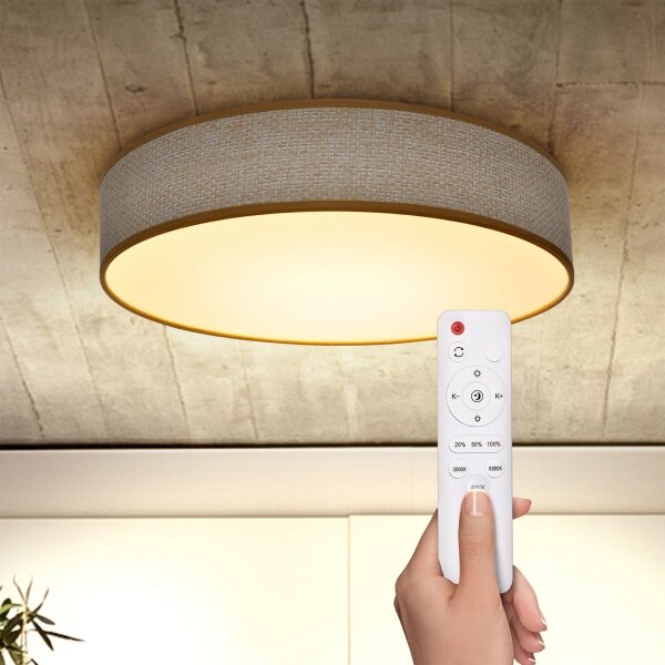 Brilagi - LED Stmívatelné stropní svítidlo CARMEN LED/48W/230V 3000-6500K + DO