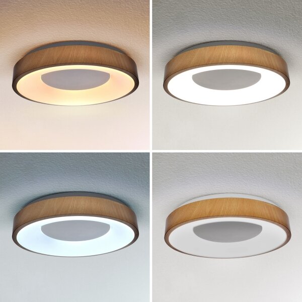 Brilagi - LED Stmívatelné stropní svítidlo DORIA LED/48W/230V 3000-6500K + DO