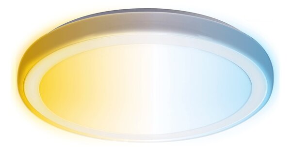 Aigostar - LED Koupelnové stropní svítidlo LED/24W/230V IP44 + dálkové ovládání