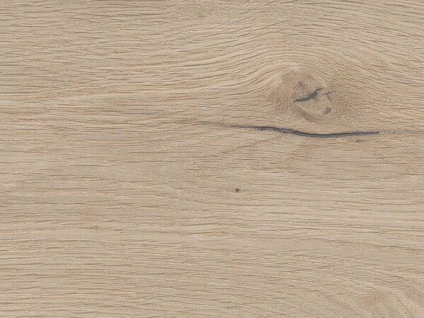 Coretec Flexile 1200 Forest 50FLX806 3,69 m2