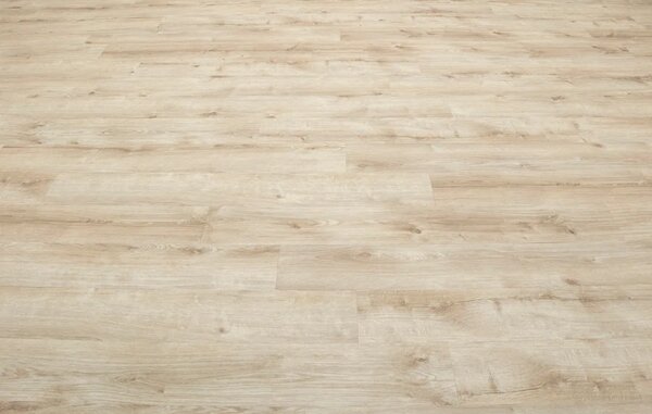 IVC Group Moduleo ROOTS 55 EIR Galway Oak 87269 3,622 m2