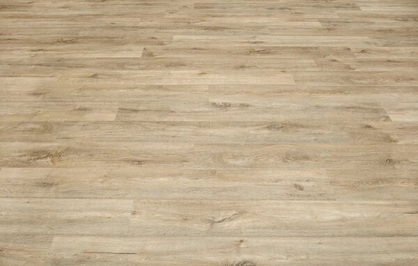 IVC Group Moduleo ROOTS 55 EIR Nashville Oak 88299 3,21 m2