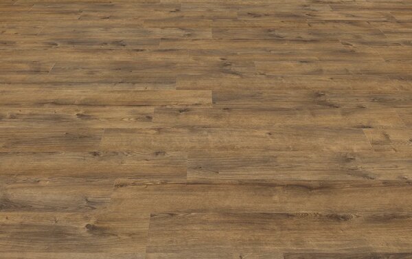 IVC Group Moduleo ROOTS 55 EIR Galway Oak 87832 3,622 m2