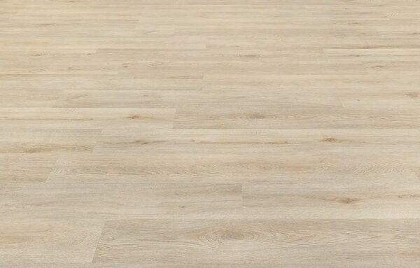 IVC Group Moduleo ROOTS 55 EIR Galtymore Oak 86237 3,206 m2