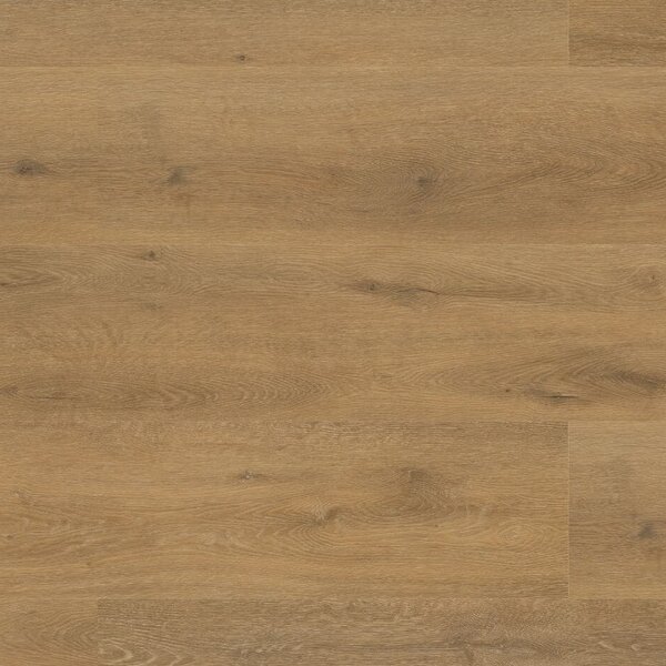Floor Forever Authentic Oak Dub Pážecí 4010 3,34 m2