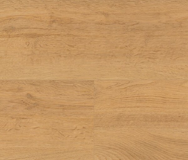 Wineo Purline 1200 wood XL - Let's go Max PLC270R 2,22 m2