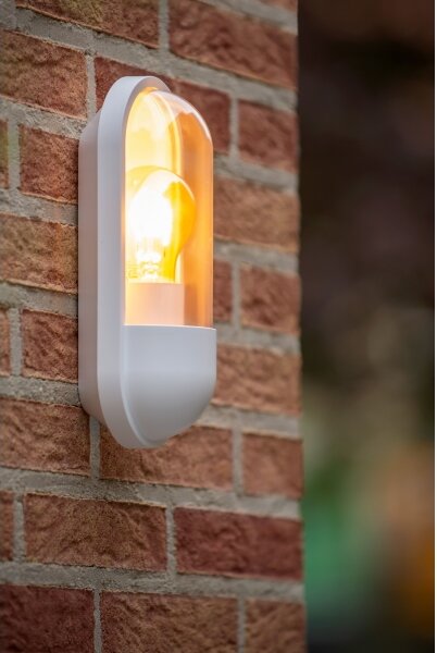 Lucide 29897/01/31 - Venkovní nástěnné svítidlo CAPSULE 1xE27/15W/230V IP54