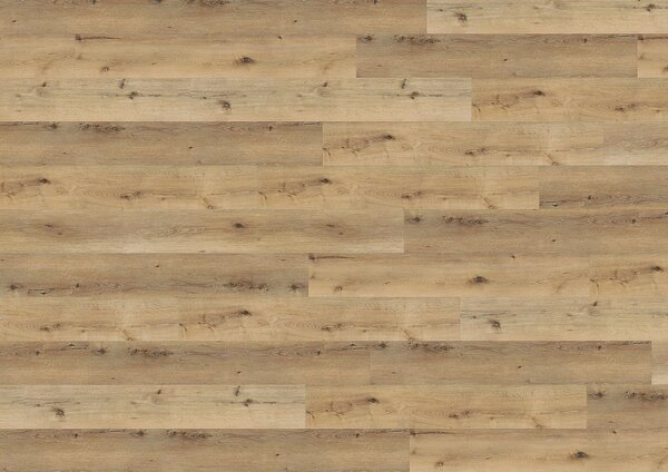 WINEO 800 wood XL Dub corn rustic DLC00062 - 2.14 m2