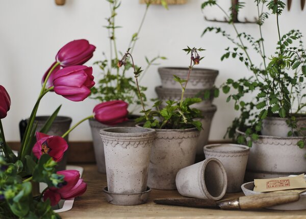 Bergs Potter Sada terakotových květináčů Copenhagen Grey 10 cm - 3 ks BP145