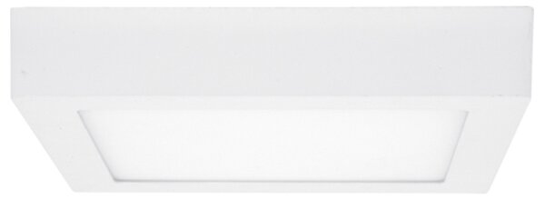Ecolite LED-CSQ-CCT/12W/BI - LED Stropní svítidlo RAFA LED/12W/230V bílá