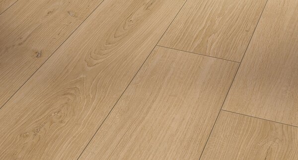 PARADOR Trendtime 6 Dub Studioline přírodní přírodně matná struktura 1601102 - 2.67 m2