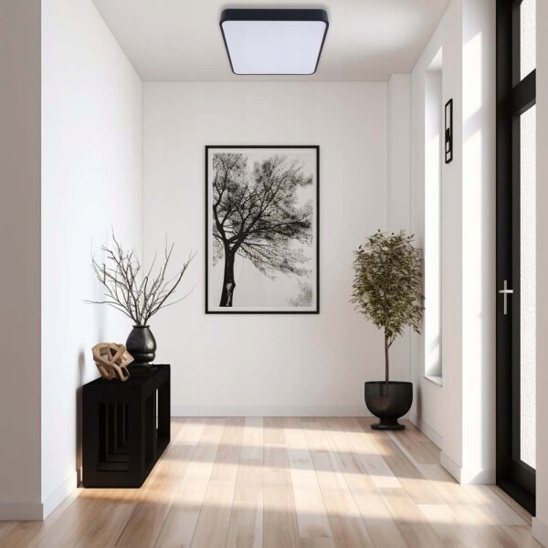 LED Stropní svítidlo FELIZ LED/50W/230V 4000K 40x60 cm černá