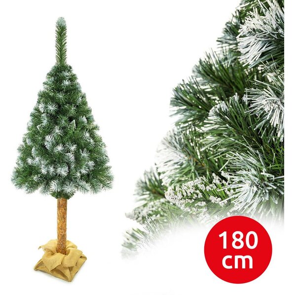 Vánoční stromek na kmenu 180 cm borovice