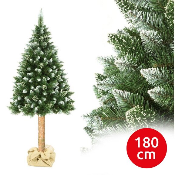 Vánoční stromek na kmenu 180 cm borovice