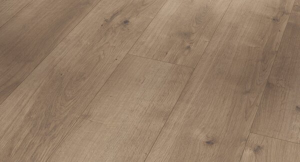 PARADOR Modular ONE Dub Pure perlově šedý struktura dřeva 1730768 - 2.49 m2