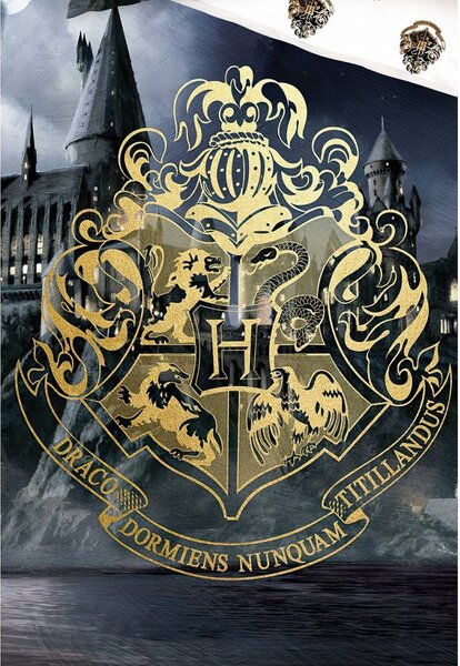 Jerry Fabrics Dětské povlečení HARRY POTTER CESTA DO BRADAVIC, šedo-žluté, bavlna hladká, 140x200cm + 70x90cm