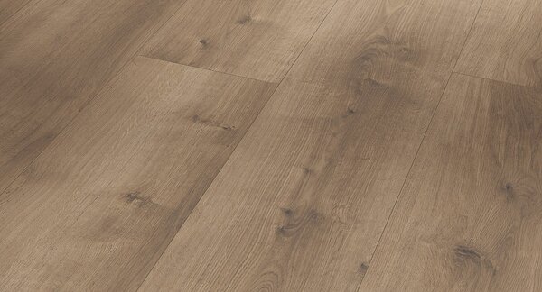 PARADOR Modular ONE Dub pure perlově šedý struktura dřeva 1730804 - 3.10 m2