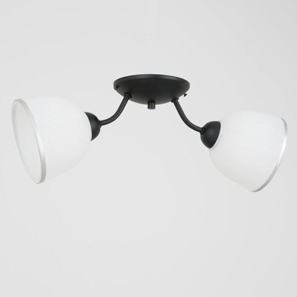 Stropní svítidlo AVIA 2xE27/60W/230V