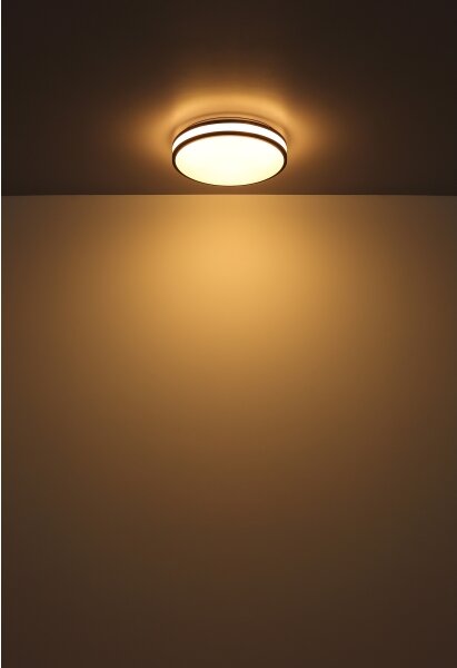 Globo 41266-18 - LED RGBW Stmívatelné stropní svítidlo BETHA LED/18W/230V + DO