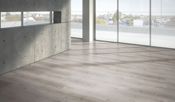 PARADOR Basic 5.3 SPC Dub šedý bílené kartáčovaná struktura 1743001 - 2.18 m2